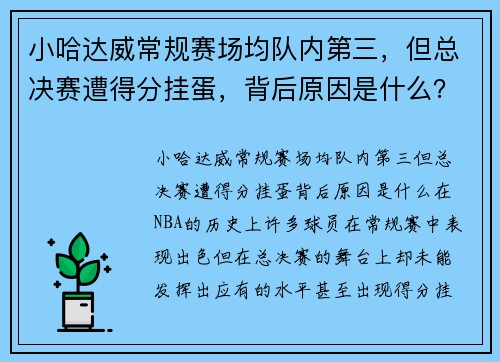 小哈达威常规赛场均队内第三，但总决赛遭得分挂蛋，背后原因是什么？